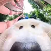 Will Tran - @willboy101150 - TikTok