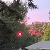 Will Turner - @will.turner189 - TikTok
