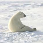 Will Wadley - @willwadley - Instagram