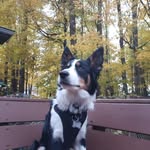 Will Wadsworth - @will_wadsworth07 - Instagram
