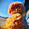 Will_Wakeman - @will_wakeman - TikTok