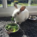 Will Waldron - @unclewaldy - Instagram