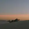 Will Walker - @willthedp - TikTok