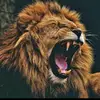 upthi_phitaah - @will__wall - TikTok