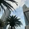 will wall - @will.walll - TikTok