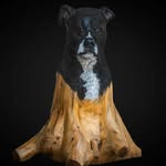 Will Walter - @carvedbywill - Instagram