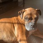 William Hatch-Walthers - @williamhatchwalthers - Instagram