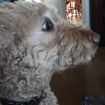 Will - @will.__walton - Instagram