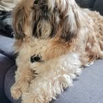 Will Warner - @1965will - Instagram