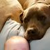 Will Warren - Facebook