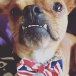 Will Watson - @will.duis - Instagram