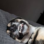 Will Watters - @wewillywonka - Instagram