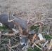 Will Waugh - Facebook
