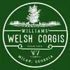Williams Welsh Corgis - @williamswelshcorgis - TikTok