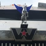 Will Weston - @will.weston.988 - Instagram