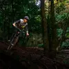 Will - @will_weston - TikTok