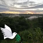 Willie Wari - Facebook