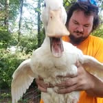 Will TheWildman Whatley - @will.t.whatley - Instagram