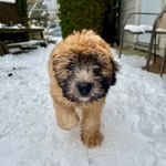 Will Wheaton - @will_wheaton__ - Instagram