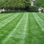 Joshua Mcgowan & Will Wheaton - @jw_lawncare - Instagram
