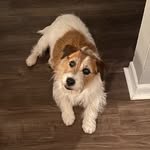 Will Wheaton - @willcwheaton_ - Instagram