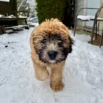Will Wheaton - @will_wheaton__ - Instagram