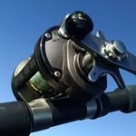 Will Whelan - @whelan.will - Instagram