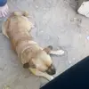 William Whiddon - @william.whiddon1 - TikTok
