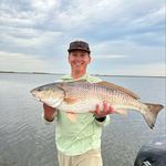 Will Whitehead - @willwhitehead15 - Instagram