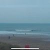 Will Whitehouse - @willwhitehouse1 - TikTok