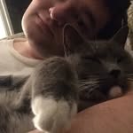 Will Whitehurst - @willwaltwhite - Instagram