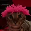 will.whitesides - @will.whitesides3 - TikTok