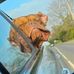 William Whiting - Facebook