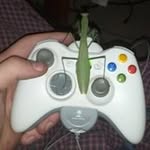 Will Whitman - @whitman.will - Instagram