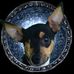 William Whitman - Facebook