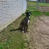 will_whitt - @will_whitt - TikTok