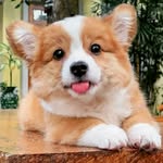 Will.William - @willw.ijaya - Instagram