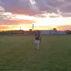 Will Wilcox - @will2419 - TikTok