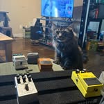 will - @willcoutu_wilcox73 - Instagram