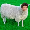 willwilkerson51 - @willwilkerson51 - TikTok