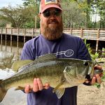 Will Wilkins - @iamww - Instagram