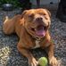 Will Willson - Facebook