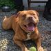 Will Willson - Facebook