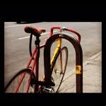 Will Winfield - @snappysnapster - Instagram