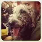 willow_the_womble - @willow_the_womble - Instagram