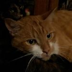 William Woolery - @woolerywilliam - Instagram