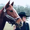 Willa Workman - @willaworkman - TikTok