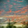 Willa10306Wrenn - @wil.wren - TikTok