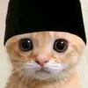 appstured - @willyapp00 - TikTok