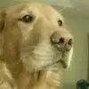Will York - @will.york09 - TikTok